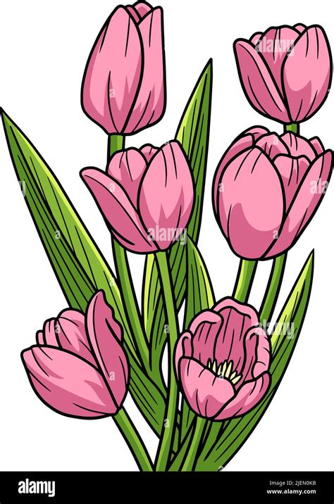 cartoon tulips pictures